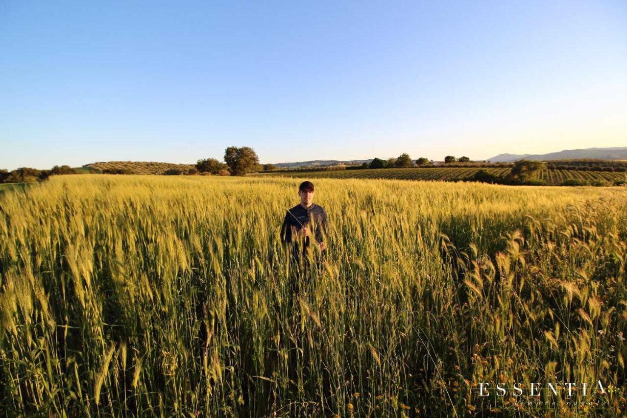 Agriturismo Essentia Dimora Rurale Larino ภายนอก รูปภาพ