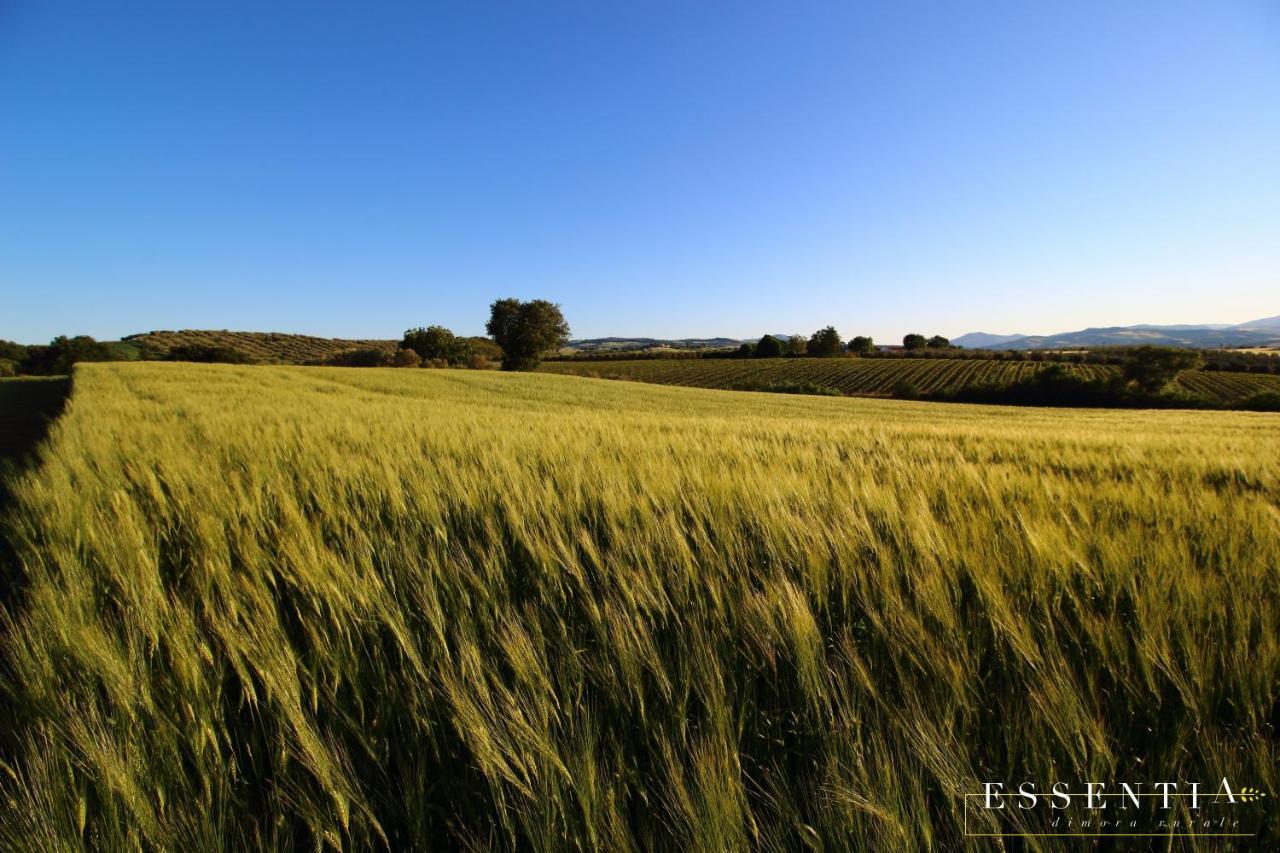 Agriturismo Essentia Dimora Rurale Larino ภายนอก รูปภาพ