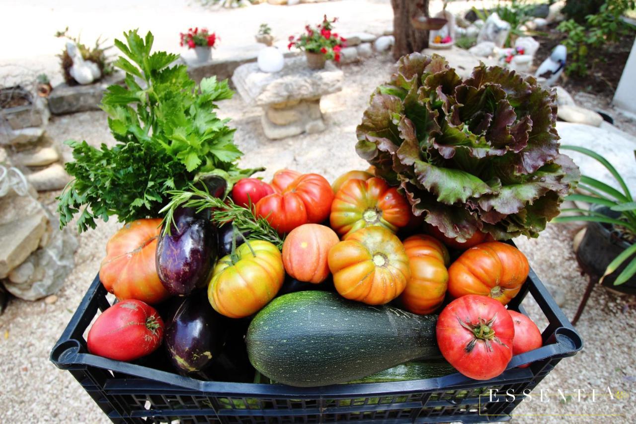 Agriturismo Essentia Dimora Rurale Larino ภายนอก รูปภาพ