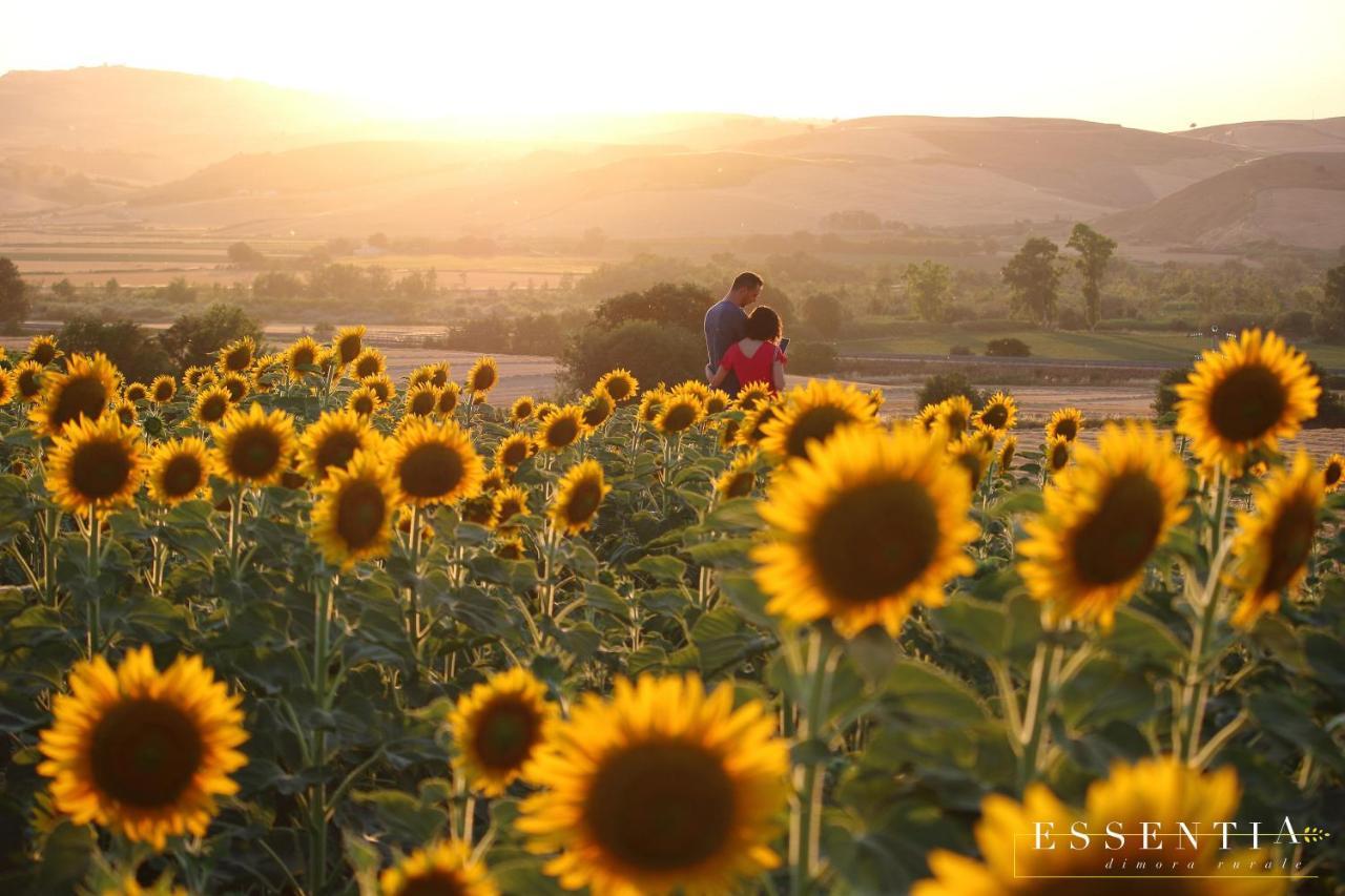 Agriturismo Essentia Dimora Rurale Larino ภายนอก รูปภาพ