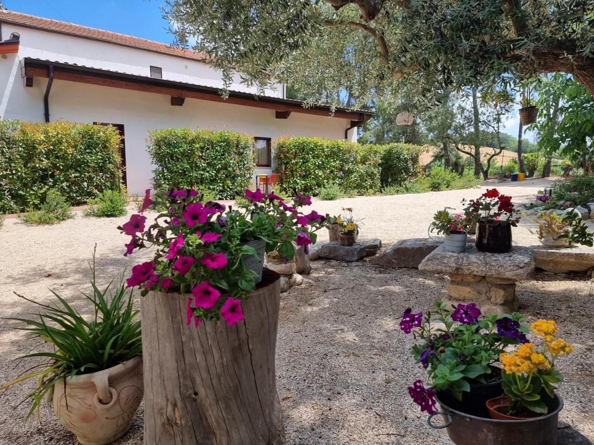 Agriturismo Essentia Dimora Rurale Larino ภายนอก รูปภาพ