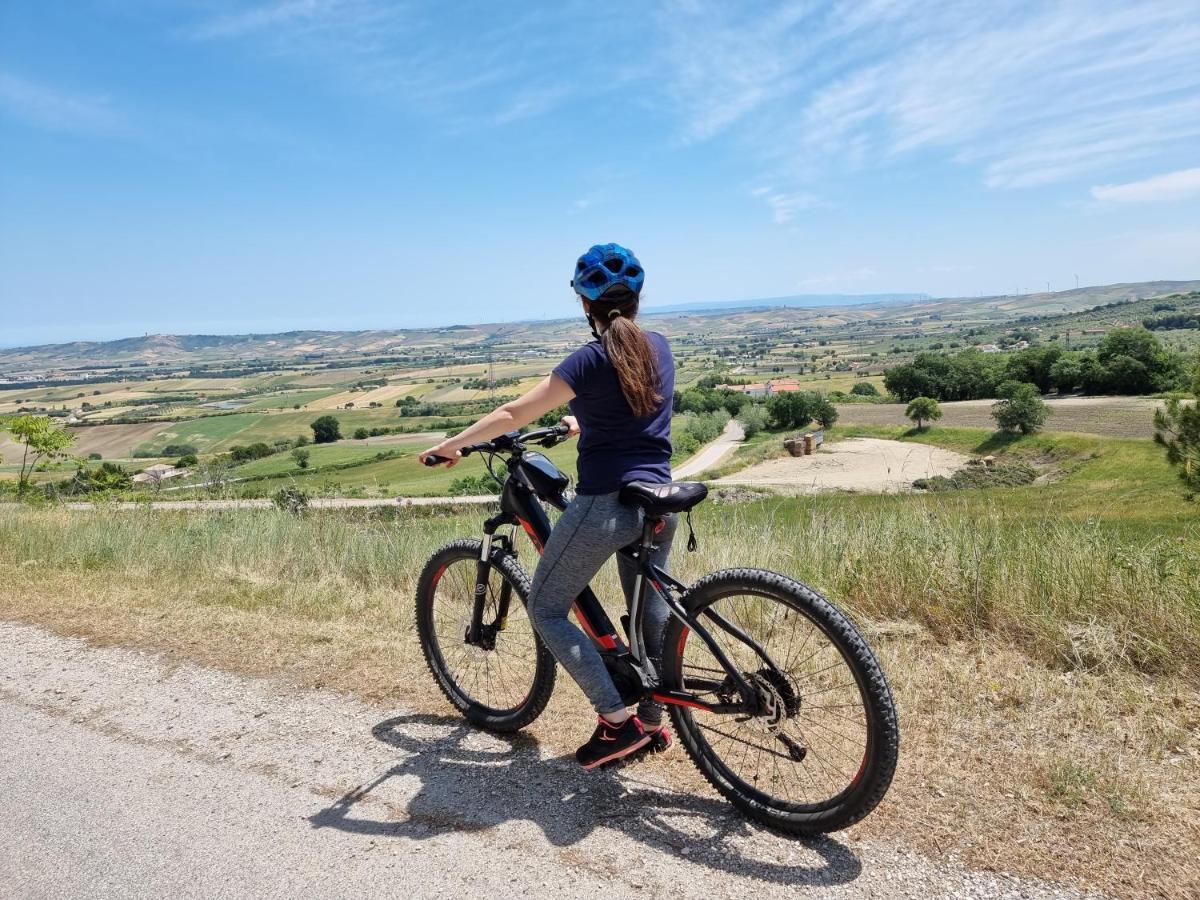 Agriturismo Essentia Dimora Rurale Larino ภายนอก รูปภาพ