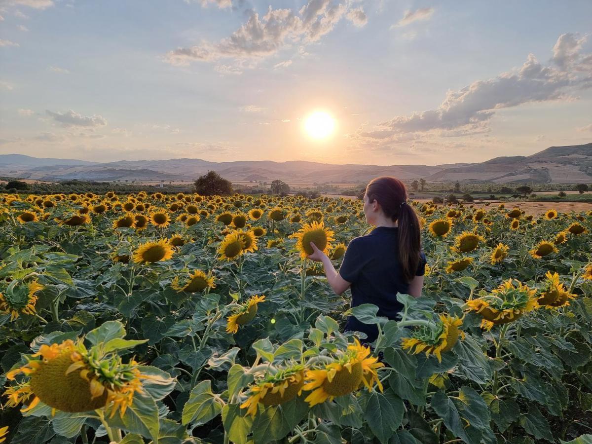Agriturismo Essentia Dimora Rurale Larino ภายนอก รูปภาพ