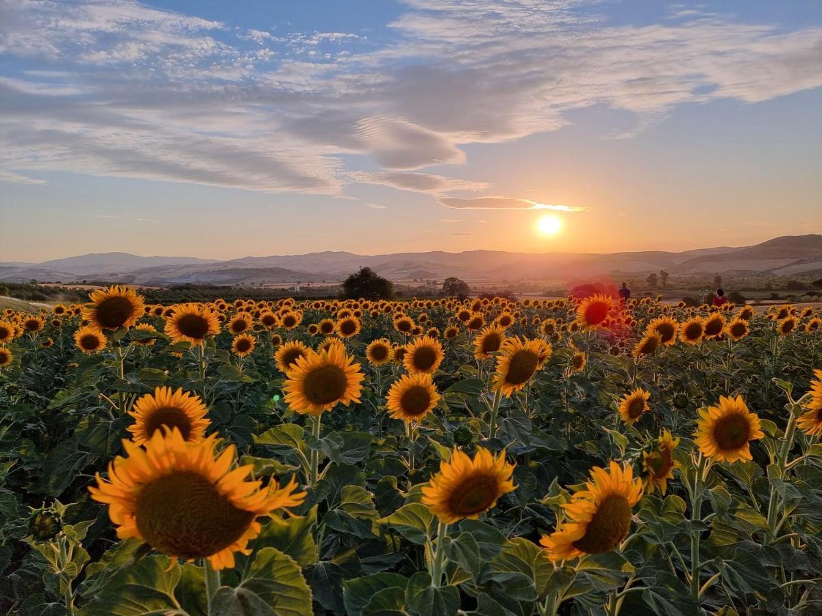 Agriturismo Essentia Dimora Rurale Larino ภายนอก รูปภาพ