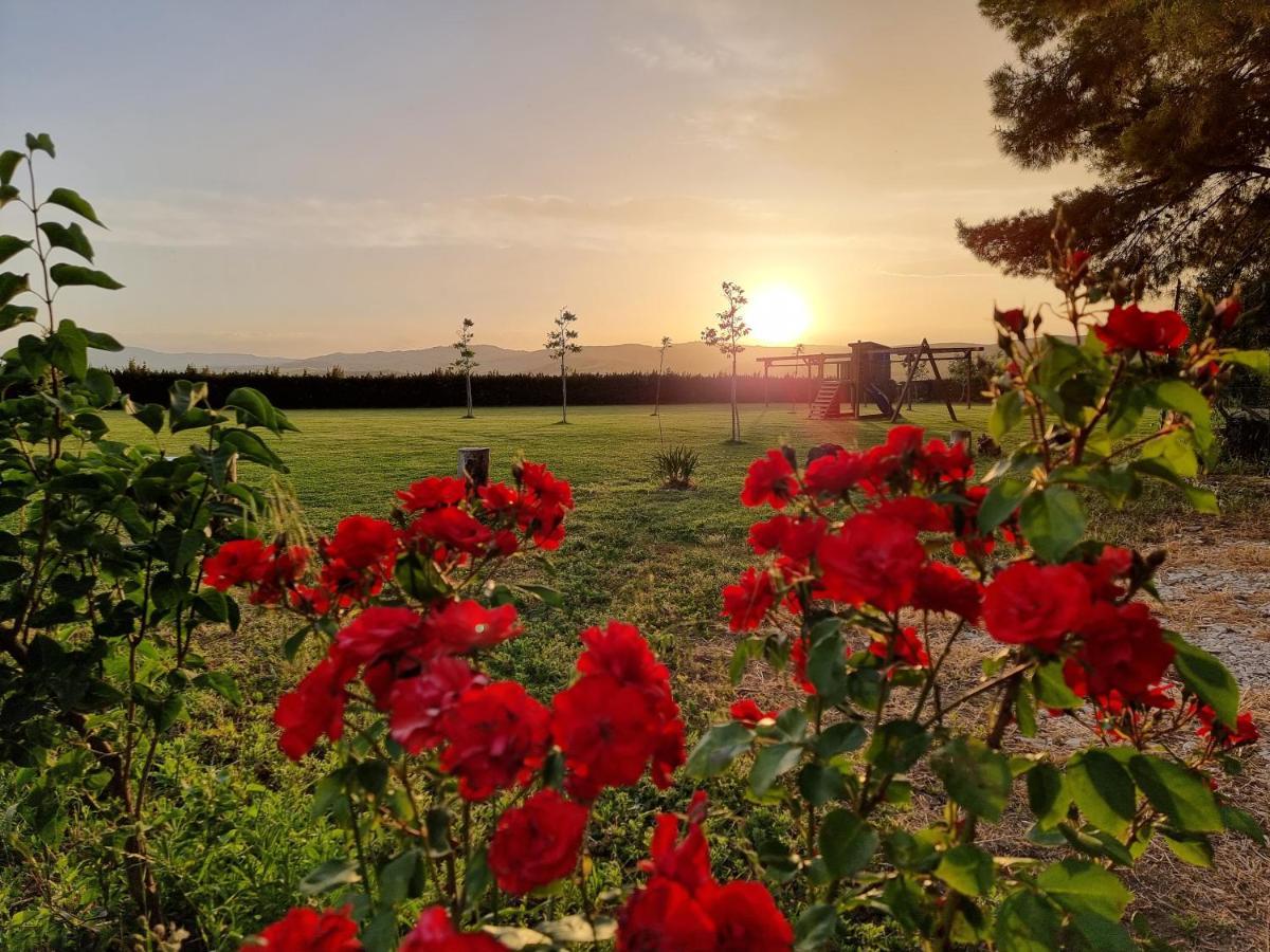 Agriturismo Essentia Dimora Rurale Larino ภายนอก รูปภาพ