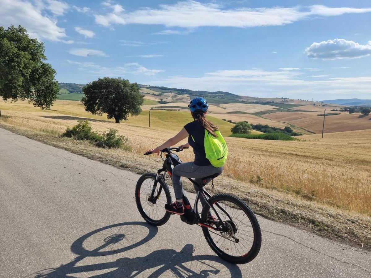 Agriturismo Essentia Dimora Rurale Larino ภายนอก รูปภาพ