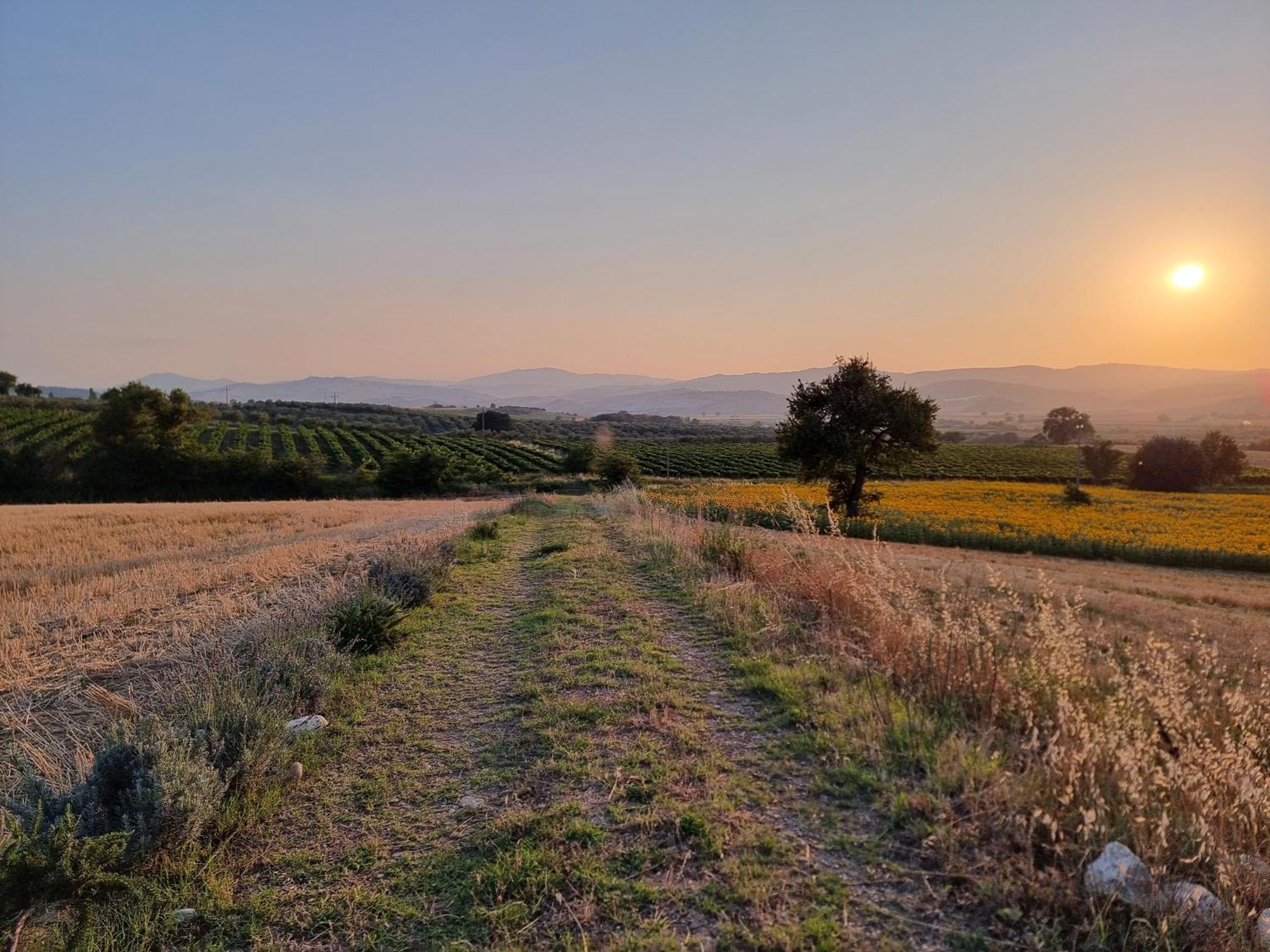 Agriturismo Essentia Dimora Rurale Larino ภายนอก รูปภาพ