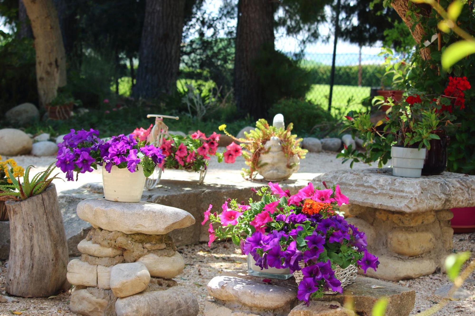 Agriturismo Essentia Dimora Rurale Larino ภายนอก รูปภาพ