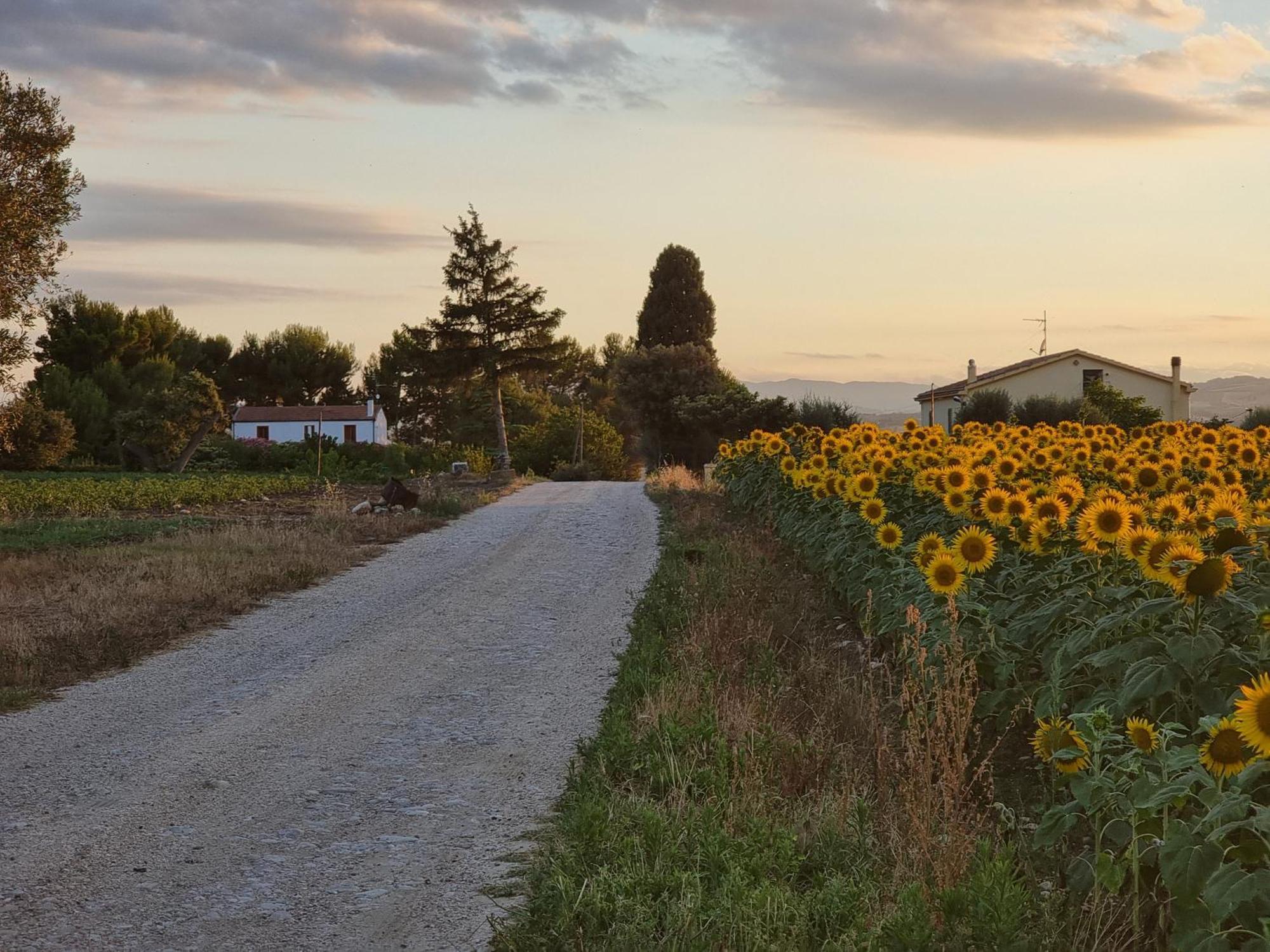 Agriturismo Essentia Dimora Rurale Larino ภายนอก รูปภาพ