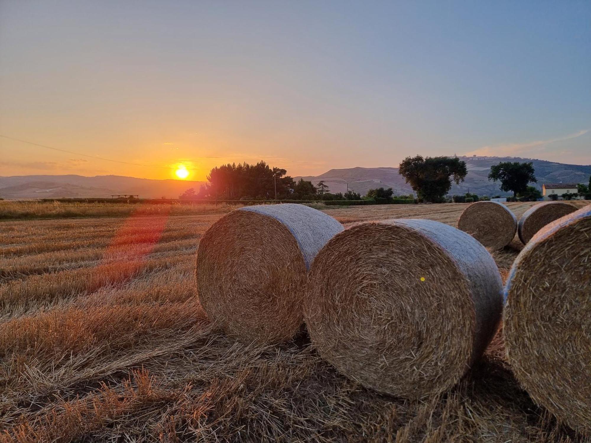 Agriturismo Essentia Dimora Rurale Larino ภายนอก รูปภาพ