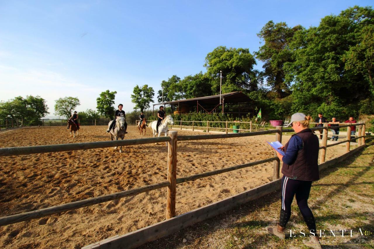Agriturismo Essentia Dimora Rurale Larino ภายนอก รูปภาพ