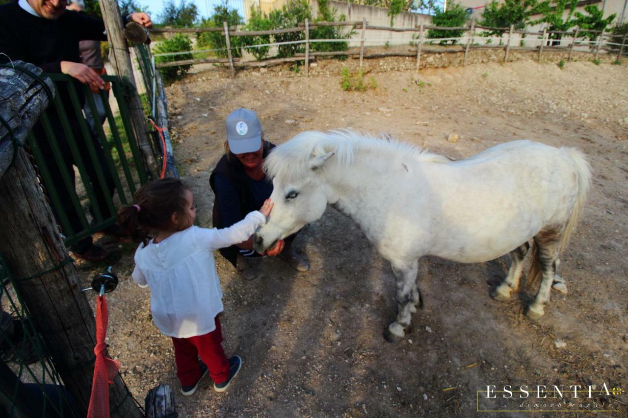 Agriturismo Essentia Dimora Rurale Larino ภายนอก รูปภาพ